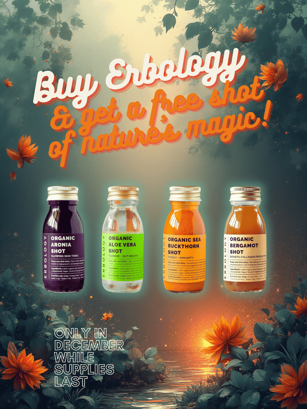 Celebrate Plant Power: December Erbology Rituals at Farmatuur - Farmatuur