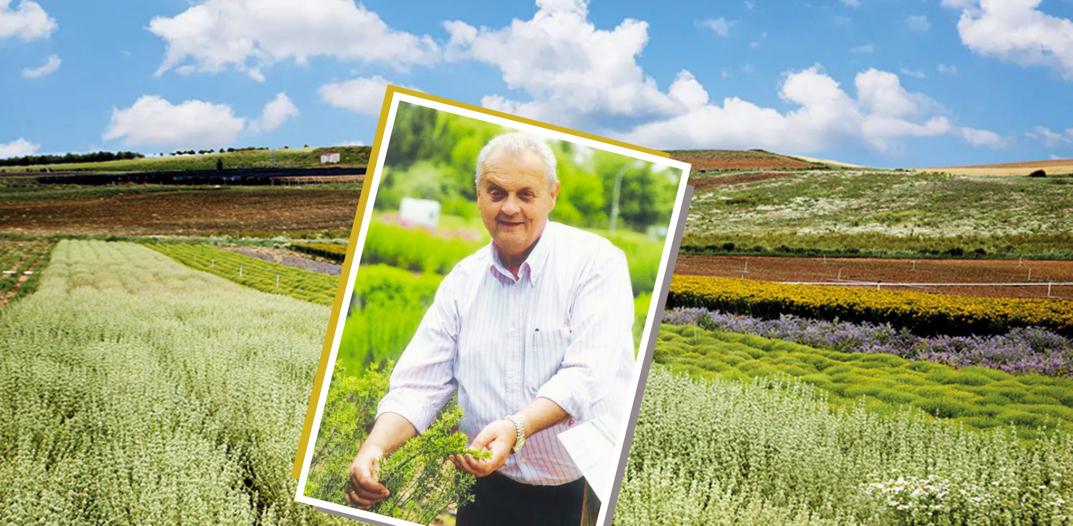 Soria Natural