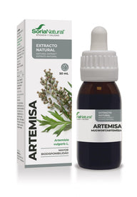 Mugwort Extract - Menstrual cycle regulator