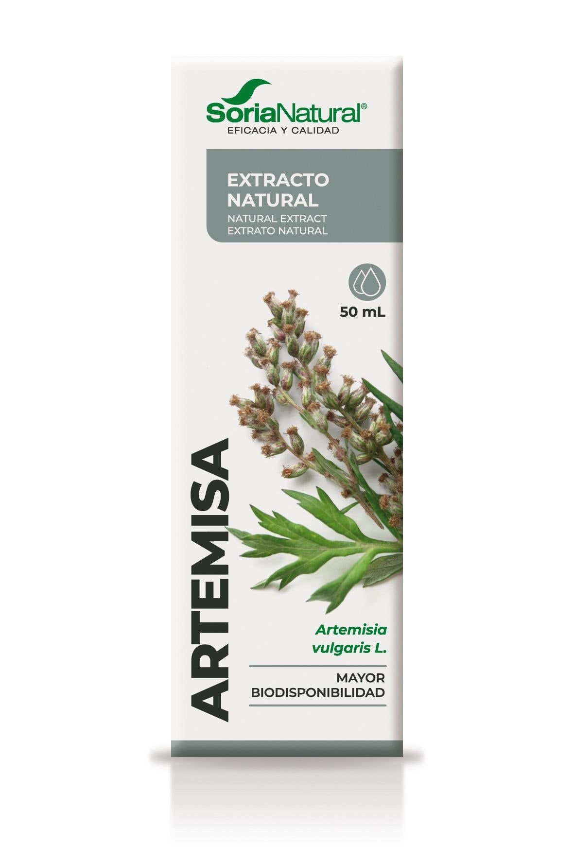 Mugwort Extract - Menstrual cycle regulator