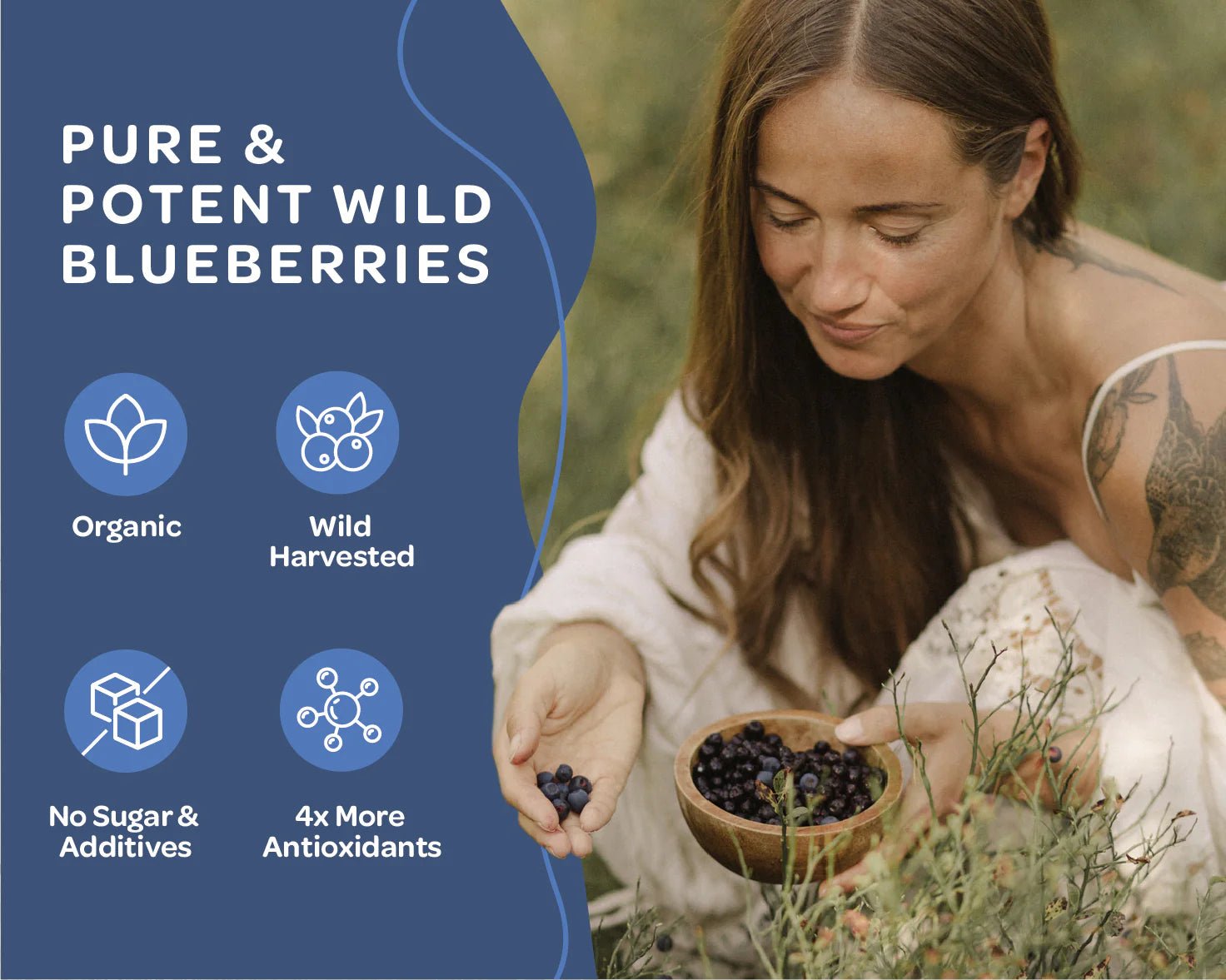 Blueberry Powder - Wild & Freeze Dried - Farmatuur