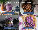 Blueberry Powder - Wild & Freeze Dried - Farmatuur