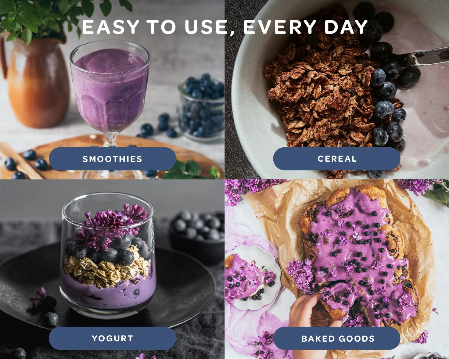 Blueberry Powder - Wild & Freeze Dried - Farmatuur