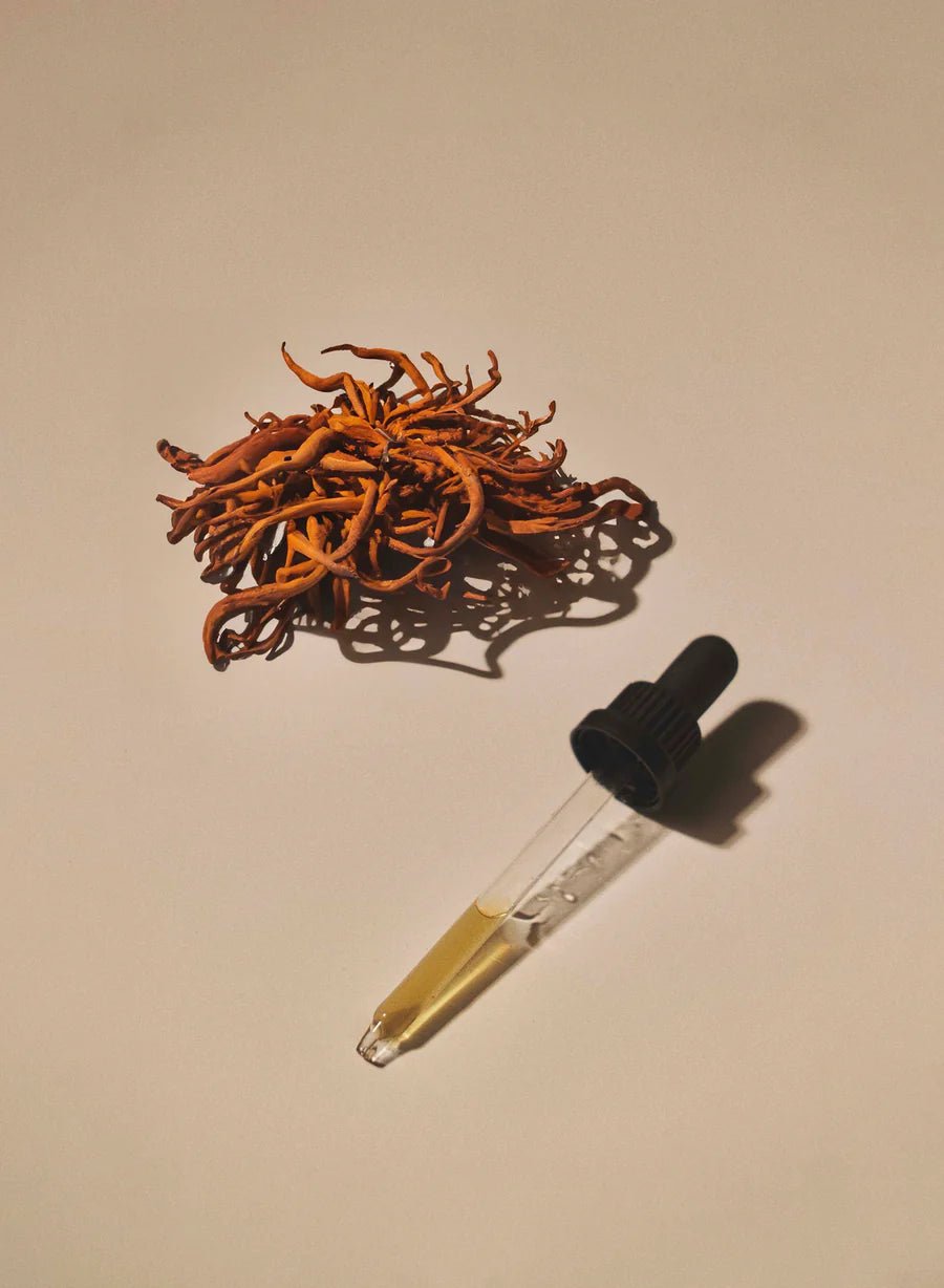 Liquid Cordyceps Extract - Farmatuur