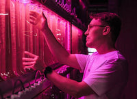 Natural Astaxanthin (4 mg/60 Vegan Capsules) - Farmatuur