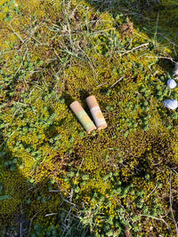 Natural Lip Balm - Green - Farmatuur