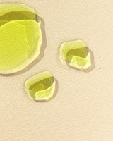 Green Machine Extra Vierge Olijfolie