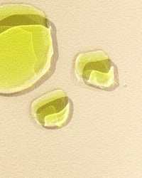 Green Machine Extra Vierge Olijfolie