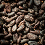 Unroasted Cacao Beans - Farmatuur